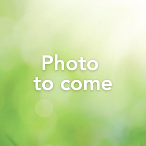 Photo to come photo to come